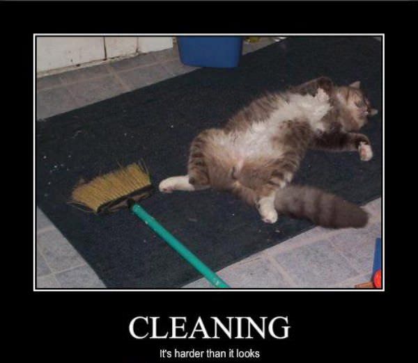 Cleaning