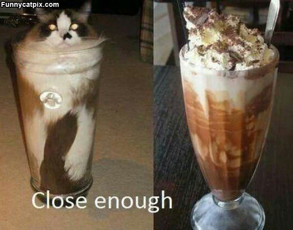 Close Enough