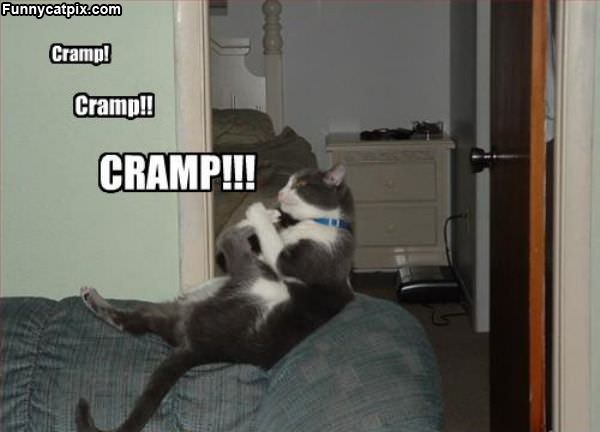 Cramp Cramp