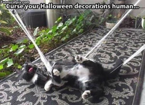 Curse Your Decorations