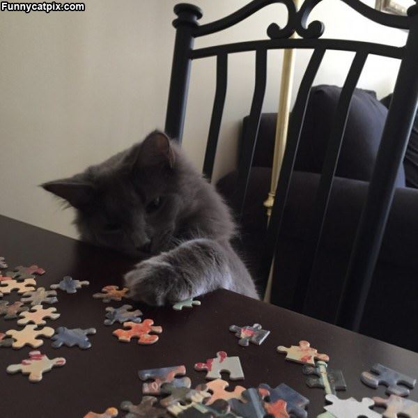 Doing A Puzzle