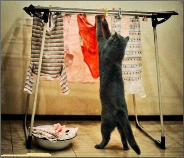 Doing Laundry