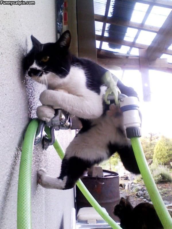 Doing Some Climbing