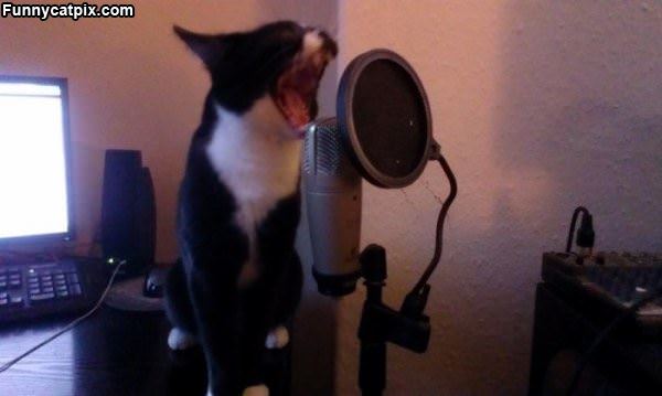 Doing Some Vocals