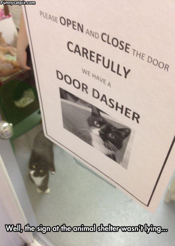 Door Dasher
