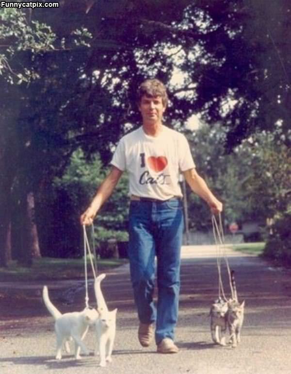 Dude Loves His Cats
