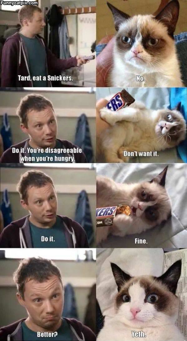 Eat A Snickers