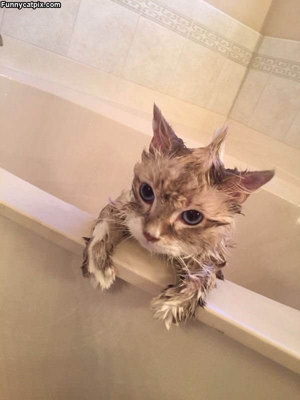 Enough Bath Already