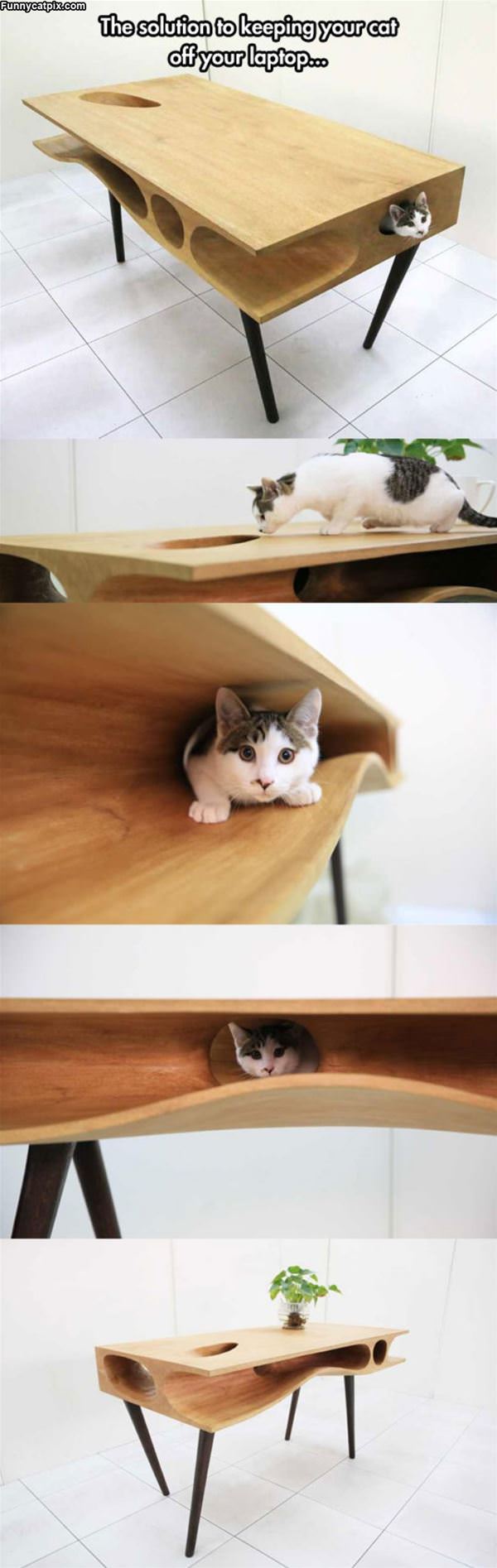 Epic Cat Table