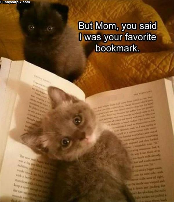 Favorite Bookmark