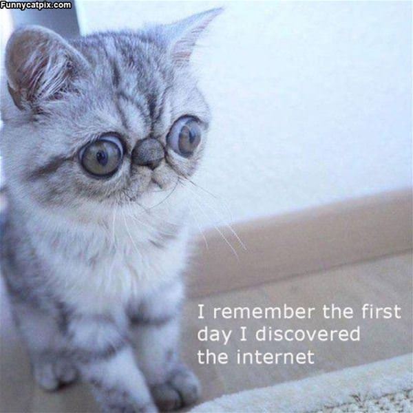 First Day On The Internet