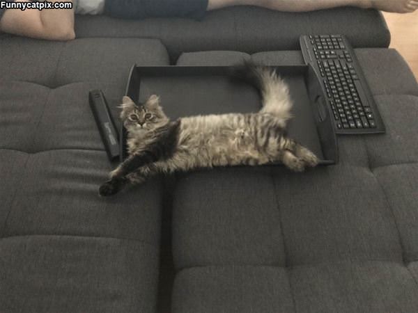 Fluffy Place