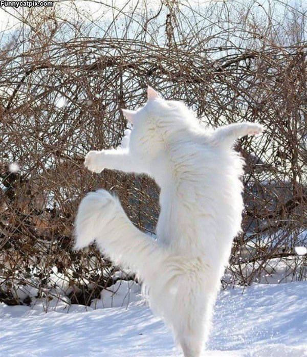 Fluffy White Jumper