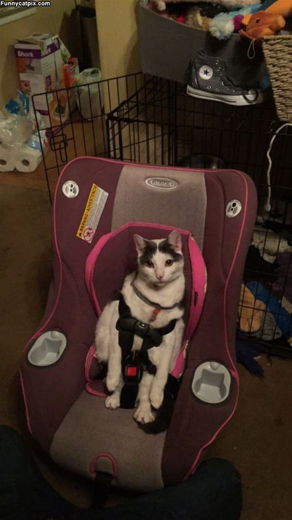 For Safe Driving