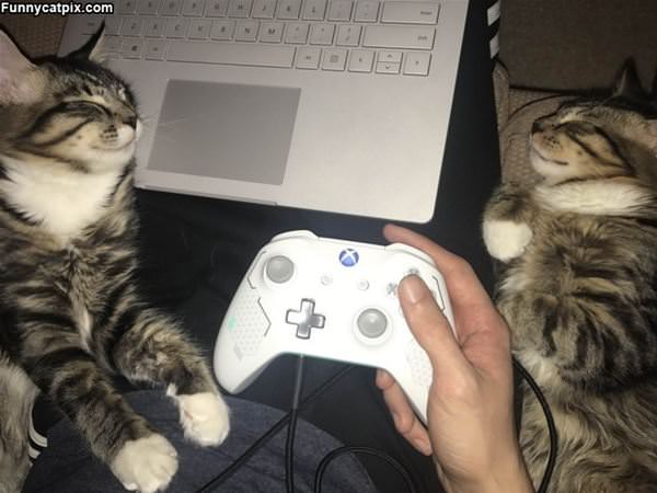 Gaming Time