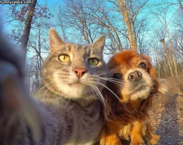 Getting A Cute Selfie