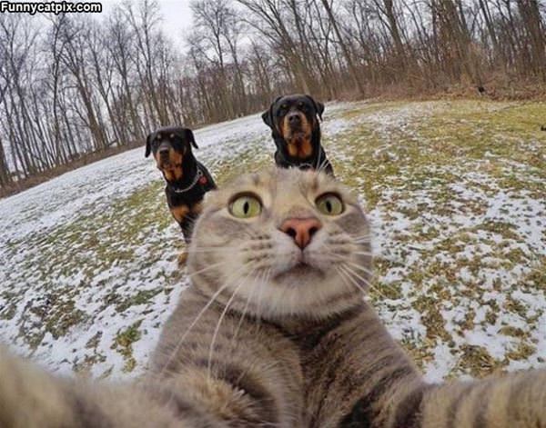 Getting A Selfie