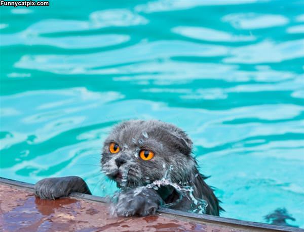 Getting Out Of The Pool