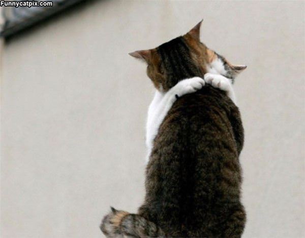 Give Me A Hug