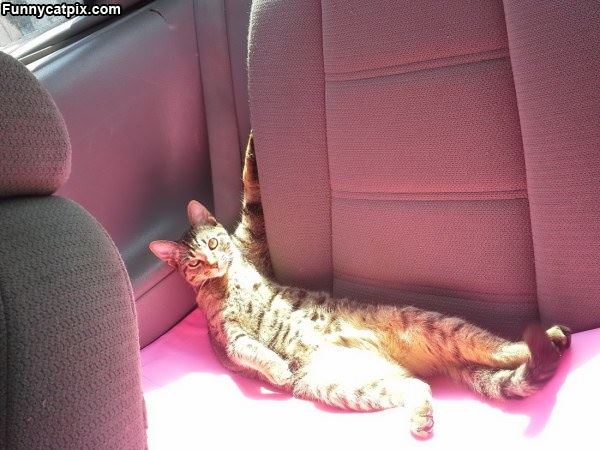 Going For A Ride