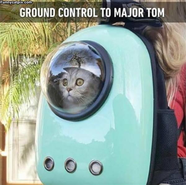 Ground Control