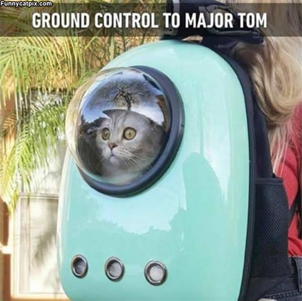 Ground Control