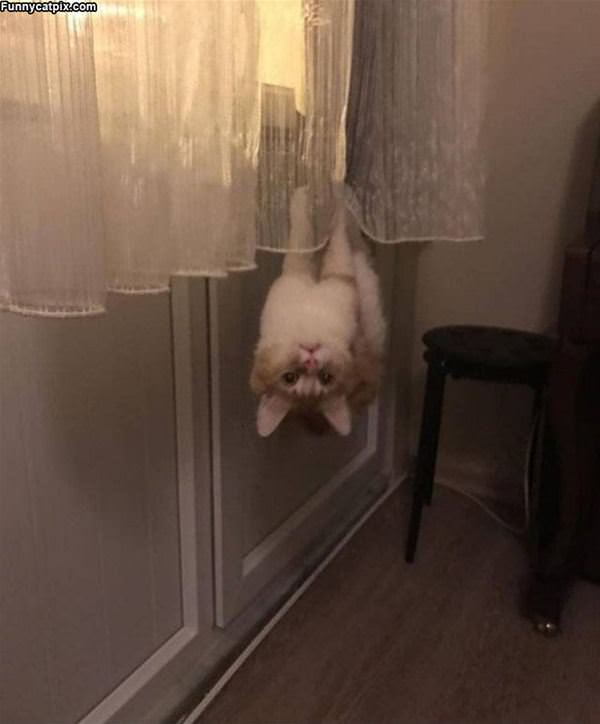 Hanging Around Here