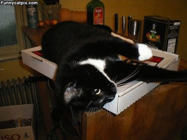 Hanging Out On The Box
