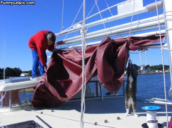 Helping Hands On The Boat