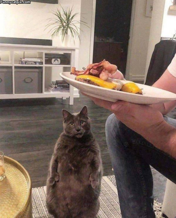 Hey I Want Some Of That