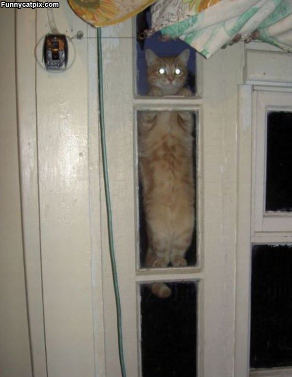 Heyyyy Let Me In