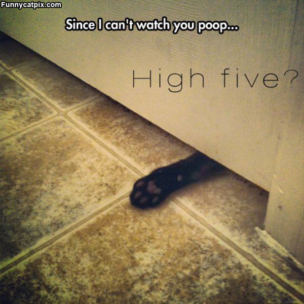 High Five