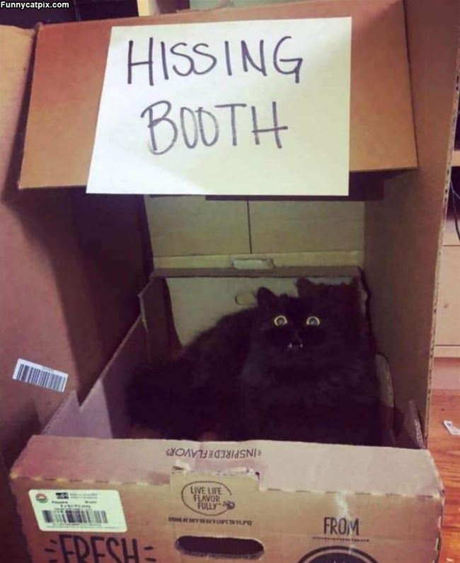 Hissing Booth