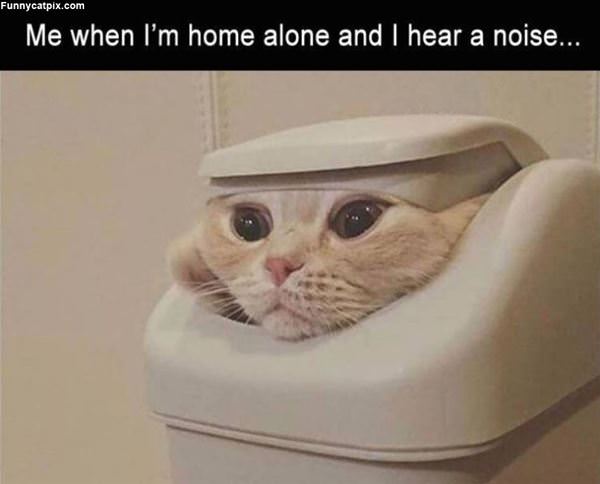 Home Alone