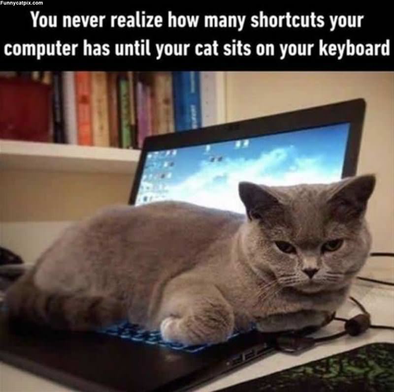 How Many Shortcuts