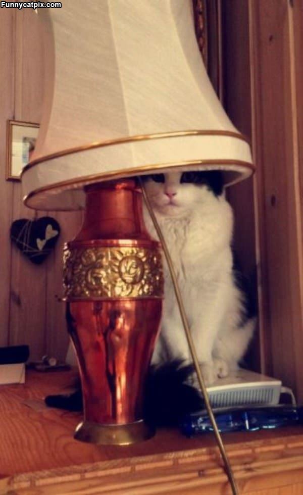 I Am A Lamp