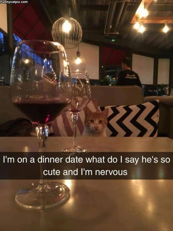 I Am On A Dinner Date