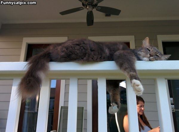 I Am Sooo Sleepppy