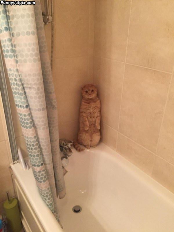 I Do Not Want To Take A Bath