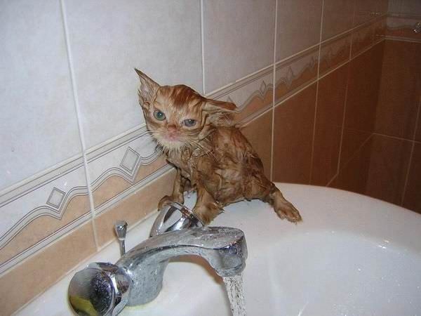 I Dont Want Bath
