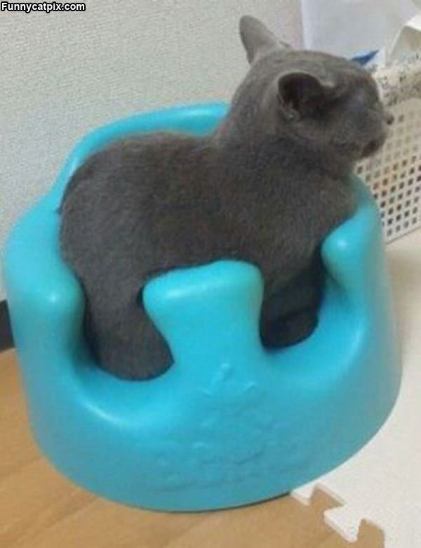 I Fits And I Sits