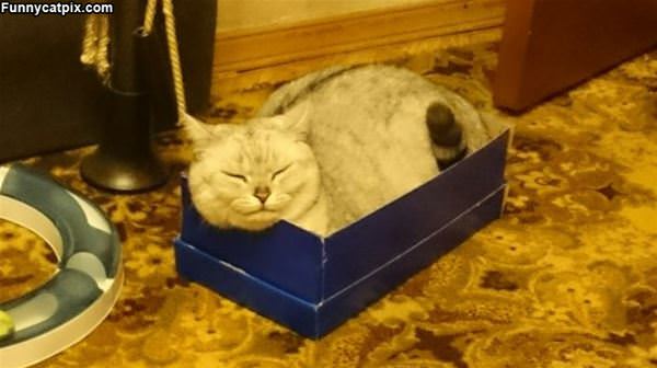 I Fits Perfect