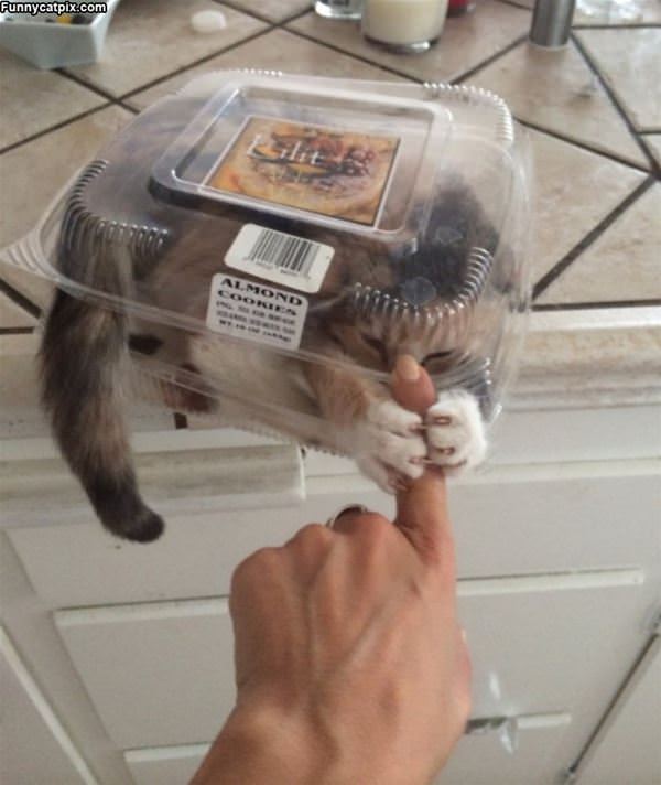 I Got Your Finger