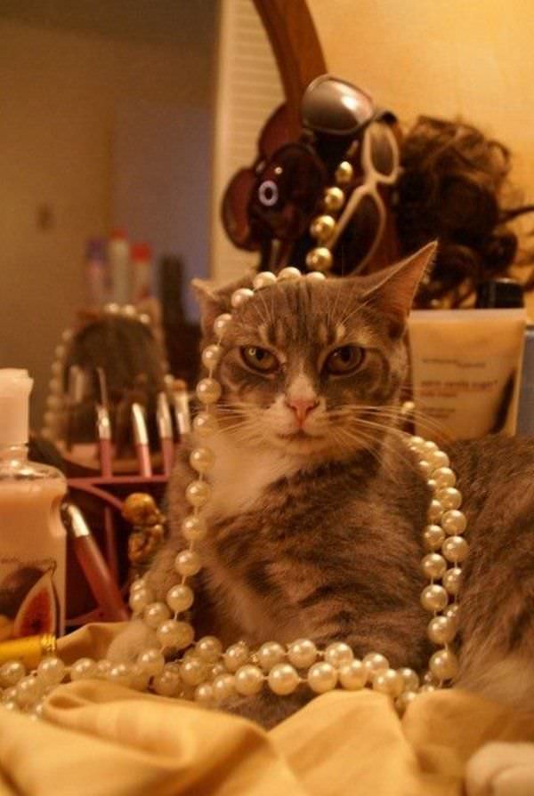 I Has Beads