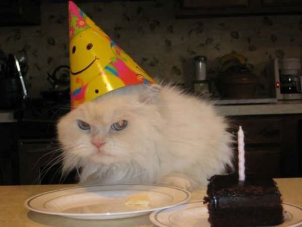 I Hate Birthdays