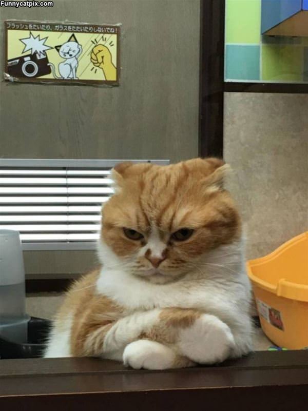 I Have Had Enough