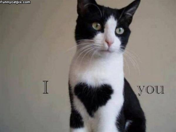 I Heart You