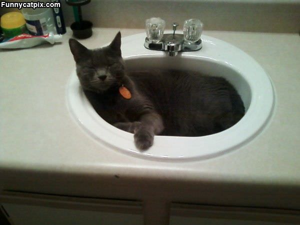 I Like Dis Sink