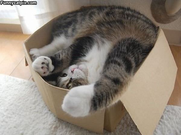 I Love Boxes