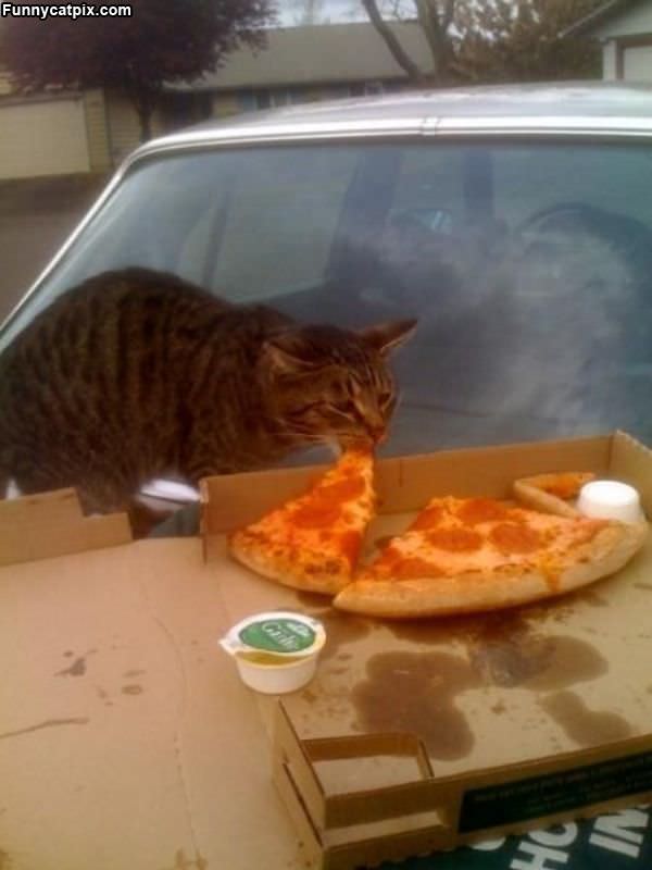 I Love Pizza Nom Nom